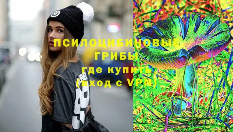 Псилоцибиновые грибы прущие грибы  где купить   Энем 